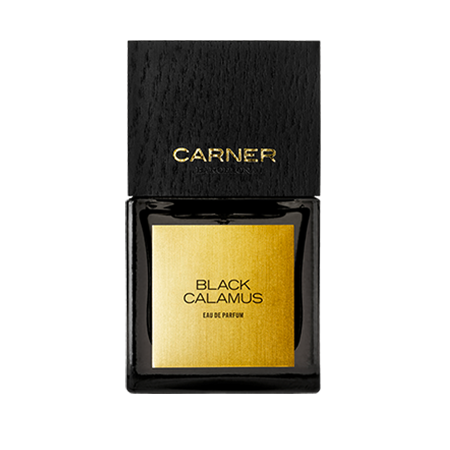 BLACK CALAMUS